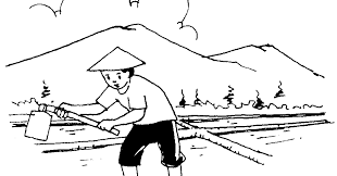 Sketsa gambar petani mencangkul di sawah. Ide Terkini 33 Gambar Petani Mencangkul Kartun