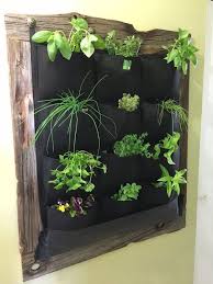 Metal bands and screws hold the jars in place against a scrap piece of wood that is mounted on the wall. 41 Awesome Plant Wall Ideas How To Build A Diy Plant Wall