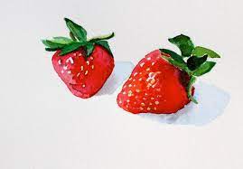 strawberries watercolor red still life fruit kitchen art 4 etsy strawberry watercolor watercolor red still life fruit