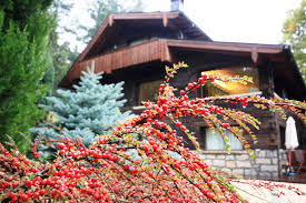 Casa rural la solana situada en la sierra de madrid (cercedilla). Hotel Rural Las Rozuelas Cercedilla Madrid Ruta Rural Ruta Rural