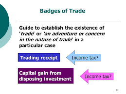 It was concluded that share trading by a private individual can never have the badges of trade pinned to them. Business Income Ppt Video Online Download
