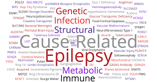 Identify and watch for particular behaviors, environments, or physical and emotional signs that precede attacks. Epilepsy Due To Specific Causes Epilepsy Foundation