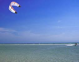 Honeymoon Island In Florida Paddling Com