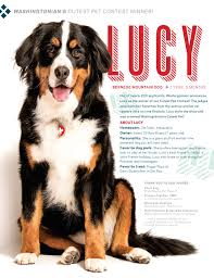 Washingtonian S Cutest Pet Contest 2014 Winner Pets Pet Magazine Cute Animals