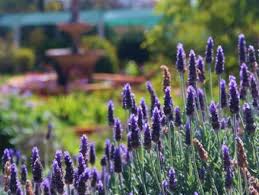 Margaret Roberts Herbal Centre