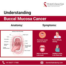 Image result for Labial mucosa
