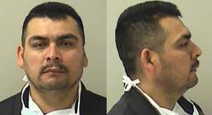 hispanos: Últimas noticias, videos y fotos de hispanos