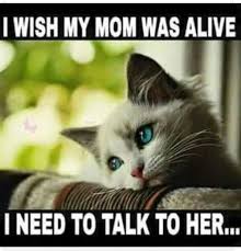 Pin On I Miss You Mom