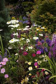 Flickr Perennial Garden Beautiful Gardens Plants