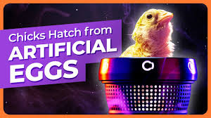 World’s Most Advanced Artificial Egg Hatches Chicks
