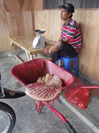 Begini ternyata prosesi kuda kawin (suharno stable). Kisah Tragis Kuda Kuda Jeneponto Backpackstory