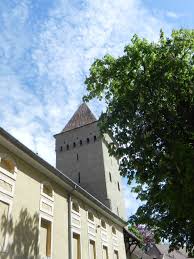 Las medias de compresión aprietan suavemente las piernas para que la sangre circule hacia arriba. Si Totusi Ce Este De Vizitat In Medias Another Milestone