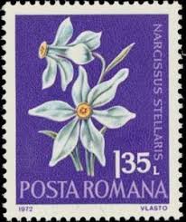 Pin De Alma Perez Em Flora Stamps Antiga