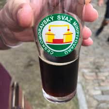 Image result for nemoci u%u0161  u ps%u016F