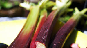 Ähnlich wie die spargelzeit ist auch die rhabarberzeit äußerst begrenzt und endet offiziell mit dem 24. Rhabarber Gib Mir Saures Schweizer Garten