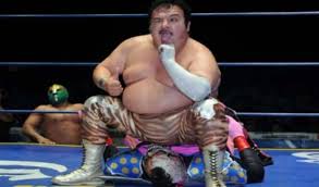 The ongoing year was very terrific for several fans of wrestlers as many wrestlers lost their lives including del wikes. Yzs6qygzprzf9m