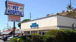 Your pets such as dogs, cats, and hamsters may need emergency care at some point. 16 Emergency Pet Hospital La Mesa Information Cepretpetstyles