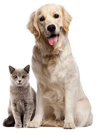 The kit includes a pet rescue window decal alerts rescue personnel that pets are inside your home and aspca animal poison control center magnet. Louisiana Pet Food Bank Pet Food Bank