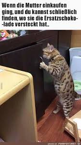 Bogumiła wander / bogumiła wander o zakazanej miło. Funpot Net Videos