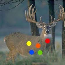 What S The Best Place To Shoot Hunting Hunt Bowhunting Deerhunting Hunter Deer Duckhunting Archery Whitet Hunting Bird Hunting Waterfowl Hunting Gear