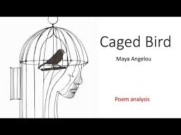 Used by permission of random house, an source: Caged Bird Poem Analysis Grade 10 English Lessons South Africa Youtube