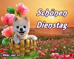 Hol sie dir jetzt, bevor es zu spät ist! Lustige Whatsapp Profil Bilder Youtube