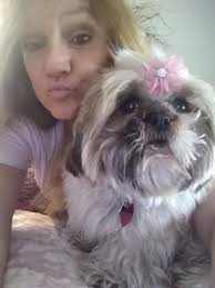 Kc's Dog Walking and Pet Sitting of Westchester