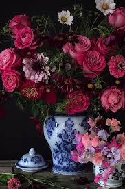 Haute Fleurs Cosmos Flowers Beautiful Flowers Flower Arrangements