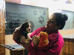 Check spelling or type a new query. Complete Pet Care Clinic Home Facebook