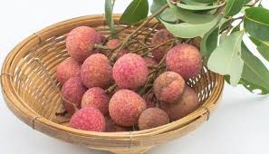 I'm a new gardener right outside of philadelphia. Litchi Zee News