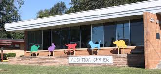 This 'nano factory' fits inside a shipping container. Furry Friends Refuge Helping Animals In Need