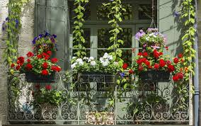Kreative ideen wie sie auf dem balkon kleinen gemüse garten anlegen gemüse garten anlegen auf balkon salat kasten schauen sie sich diese kreative ideen an. Kleiner Balkon Grosses Potenzial