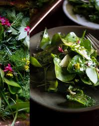 Image result for Viridivia