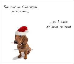 We did not find results for: Funny Pet Xmas Cards Pet S Gallery