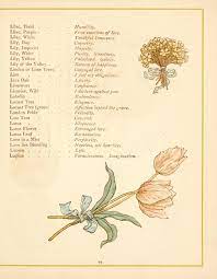 One bouquet of flowers could. Language Of Flowers Language Of Flowers Flower Pictures Lily Flower