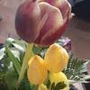 We did not find results for: Top 939 Avas Flowers Reviews Page 10