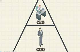 The coo will optimize our company's operating capabilities, employ strategies to maximize customer satisfaction, and manage. Chief Operating Officer Coo Definition
