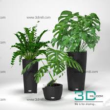401 Plant 3dsmax Model Free Download 3d Mili Download 3d Model Free 3d Models 3d Model Download Wicker Planter Tropical Plants Plants