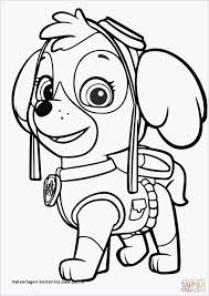Ein weiteres bild von kostenlose ausmalbilder paw patrol ausdrucken: Die15 Beste Paw Patrol Sky Ausmalbilder Kostenlos Ideen Paw Patrol Coloring Pages Paw Patrol Coloring Puppy Coloring Pages