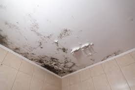 So, you need to paint or varnish it with advanced material to prevent it from damaging. Best Paint For Steamy Bathroom Ceiling Eco Paint Inc