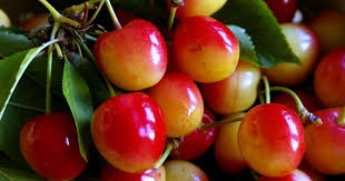 Les Cerises En Savoir Plus Sur La Cerise Et Son Utilisation Cuisine Patisserie Et Alcools Recette Recette Cerise Cerise Fruits