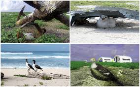 DXpedition: Baker Island!