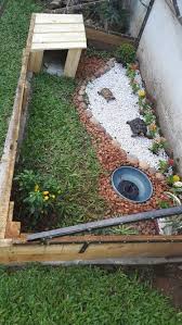 How To Properly Take Care Of A Big Tortoise En 2020 Terrarium Tortue Maison Tortue