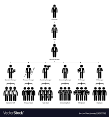 Organization Chart Tree Company Corporate