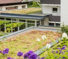 Dachbegrunung Garten Gartengestaltung Grun Dach Dachbegrunung Inspiration Inspirationen Dachbegrunung Gartengestaltung Und Garten