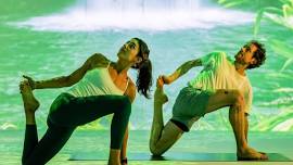 Tropical Immersive Yoga $15