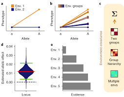 We did not find results for: A Linear Mixed Model Approach To Study Multivariate Gene Environment Interactions Nature Genetics