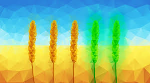 It has an altered genome. What Is A Gmo Facts Yourgenome Org