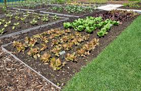 Till in the fall to prepare your garden for planting next year. Grow Vegetables In The Right Season