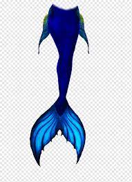 Gambar ikan duyung asli layaknya putri duyung cantik baik berupa kartun lukisan dari sebenar di malaysia dan sebenar di sarawak. Tail Png Images Pngwing